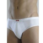 Brief 450