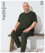 Aydogan 7021